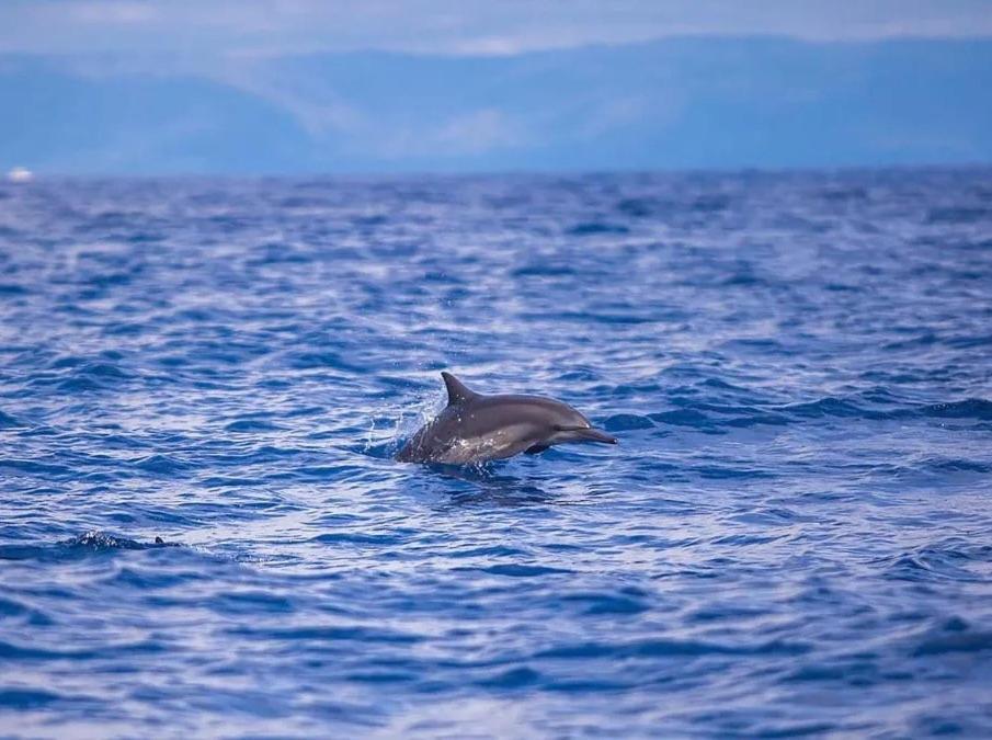ヴィラ ウミ パングラオ エクステリア 写真