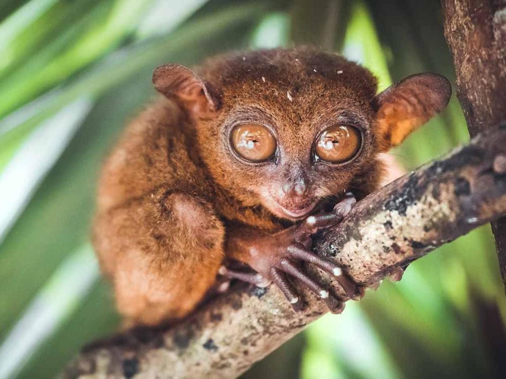 ヴィラ ウミ パングラオ エクステリア 写真